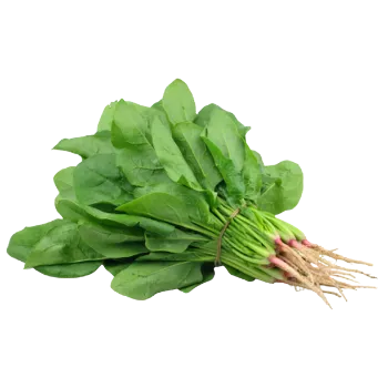 Fresh Spinach 